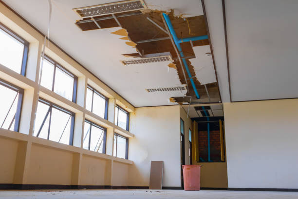Best 24-hour water damage restoration  in Greenwood, LA