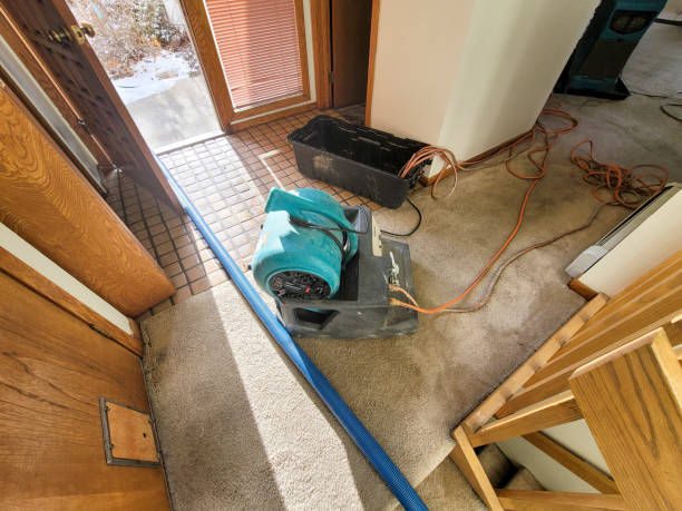 Best Flood damage cleanup  in Greenwood, LA