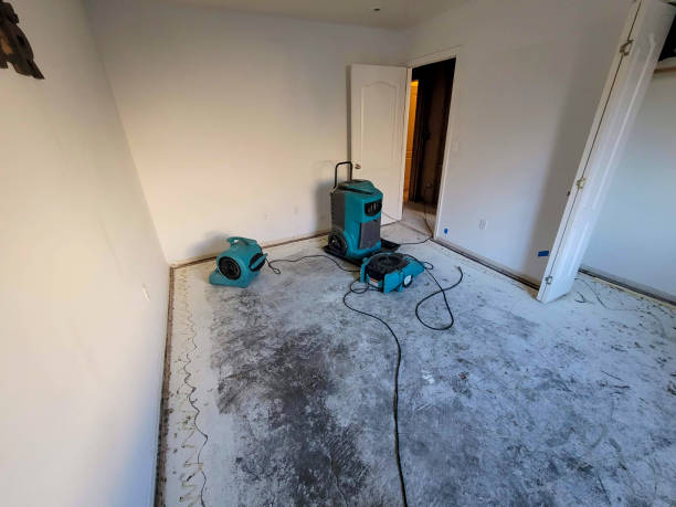Best Water damage restoration mold remediation  in Greenwood, LA