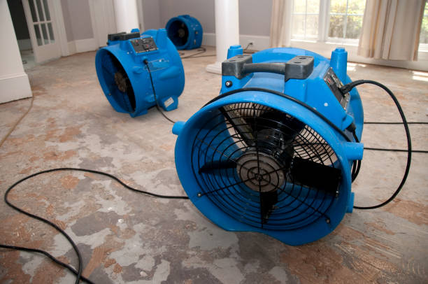 Water damage restoration experts in LA