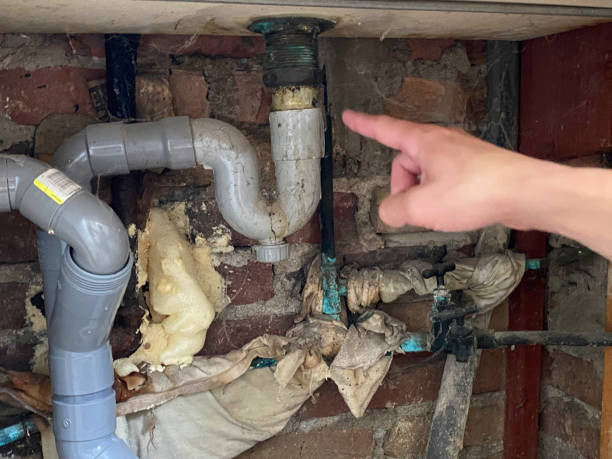 Best Water damage cleanup near me  in Greenwood, LA