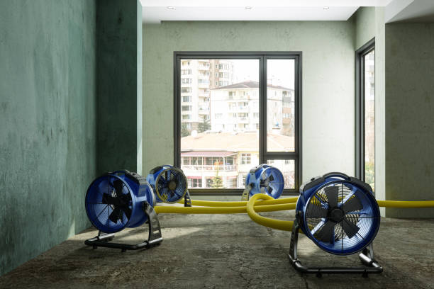 Best Emergency water damage restoration  in Greenwood, LA